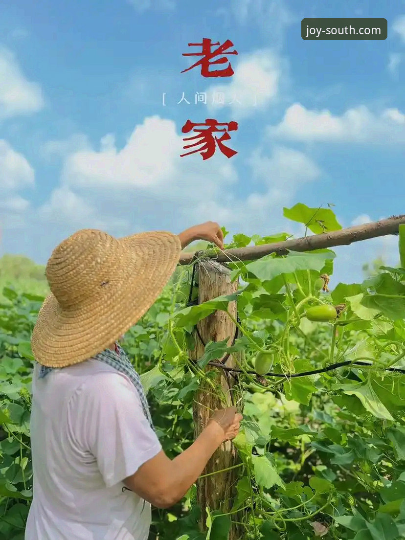 江南怎么样 深度揭秘江南体育平台:品质生活背后的真实体验与完整指南